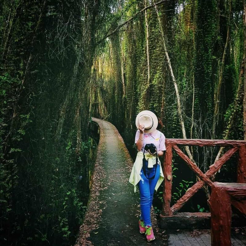 Làng nổi Tân Lập (Long An)