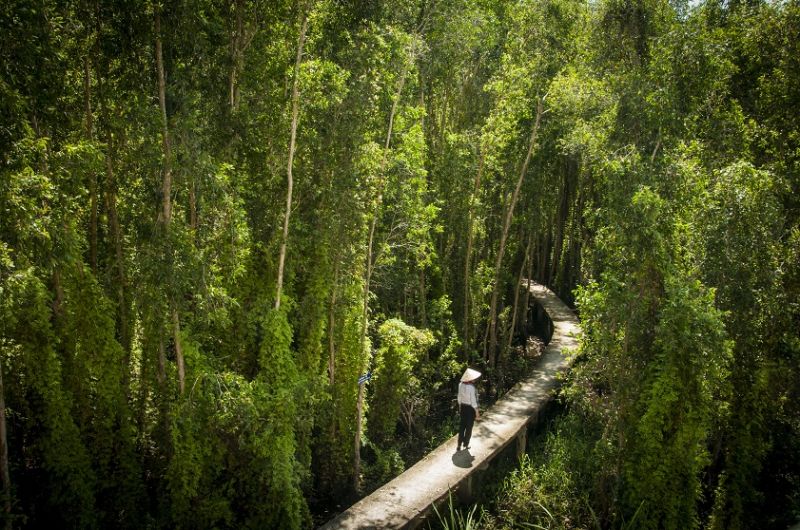 Làng nổi Tân Lập, Long An