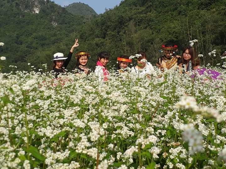 Là địa điểm ngắm hoa tam giác mạch được nhiều người lựa chọn