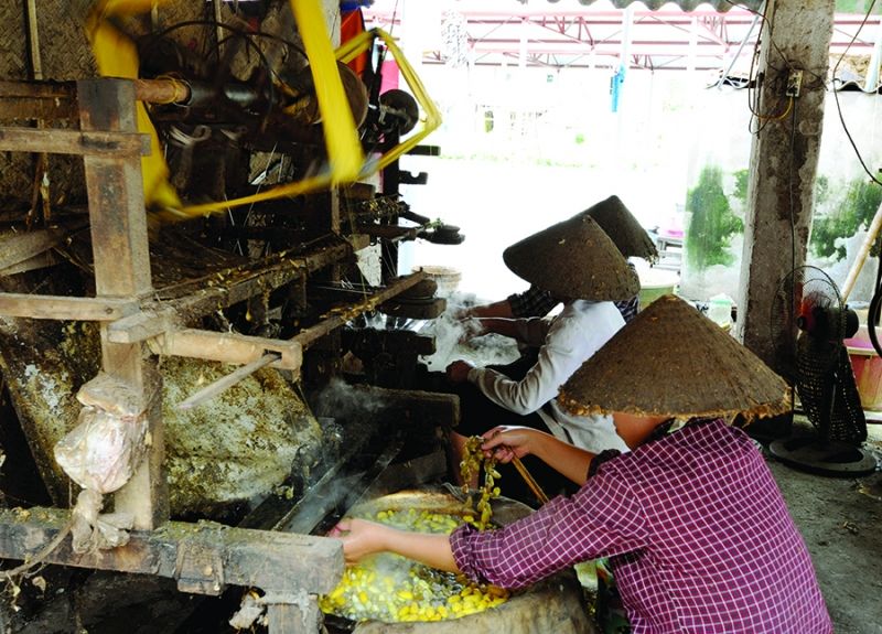 Luộc kén, quay tơ