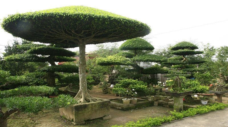 Làng vườn Bách Thuận