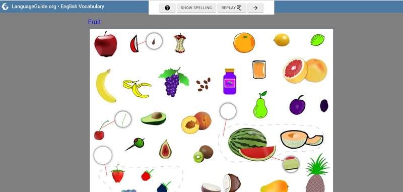 LanguageGuide.Org