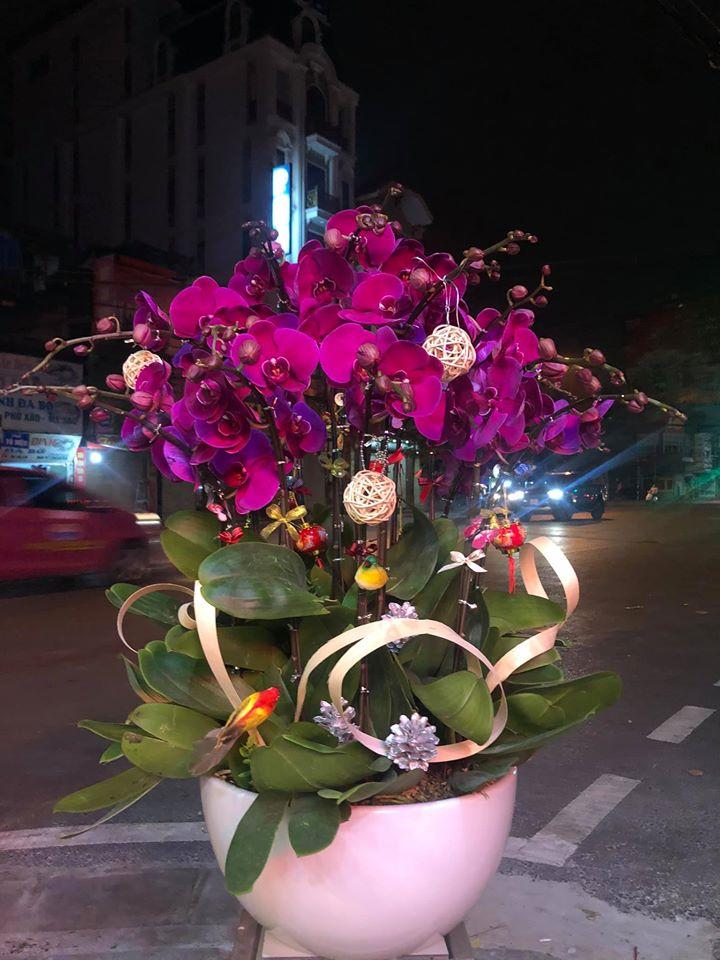 Larosa Flower