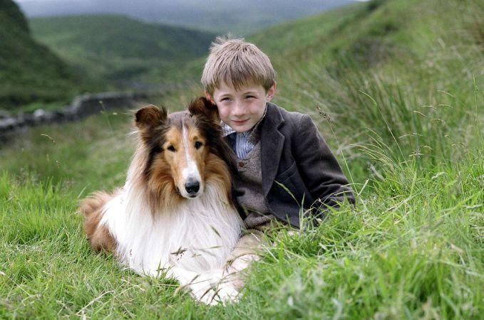 Lassie Về Nhà - Lassie Come Home 1943
