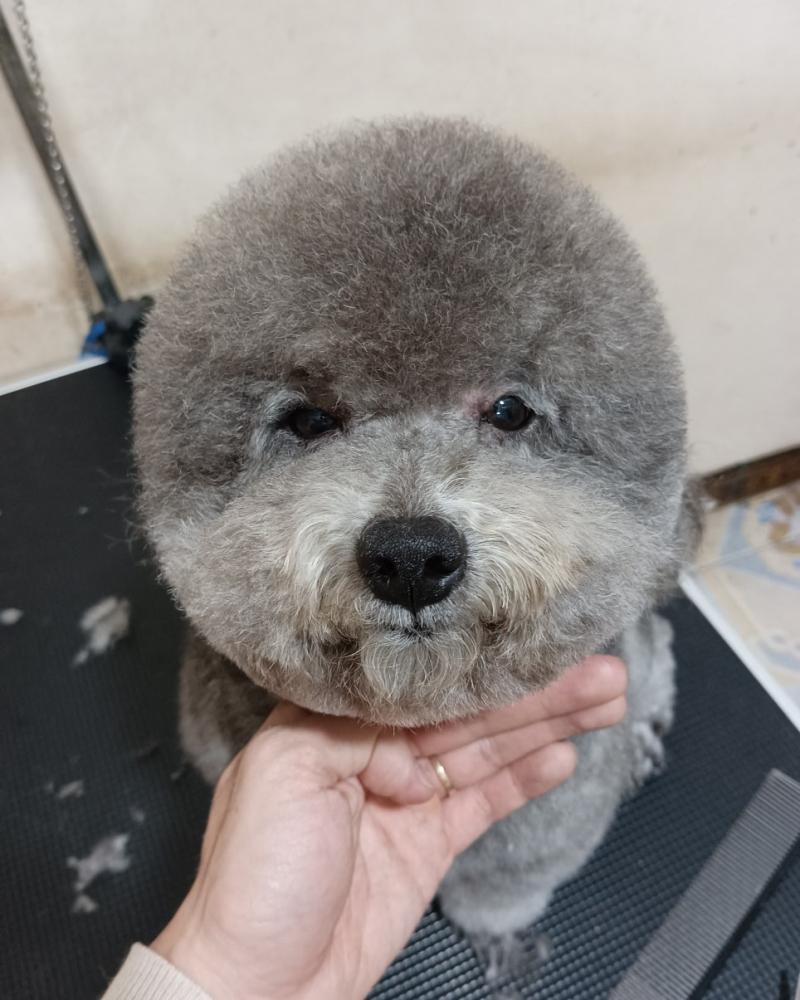Lava Spa & Pet Shop
