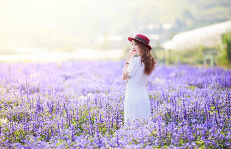Hay là mình thôi không nhắc về hạnh phúc?