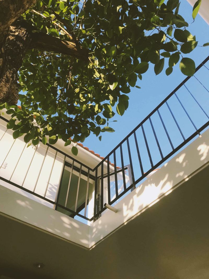 Le Bleu Homestay Tam Đảo