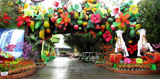 Lễ hội trái cây (Tháng 06 và Tháng 07)