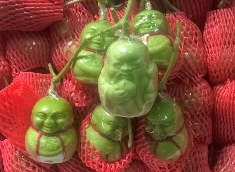 Lê nhân sâm