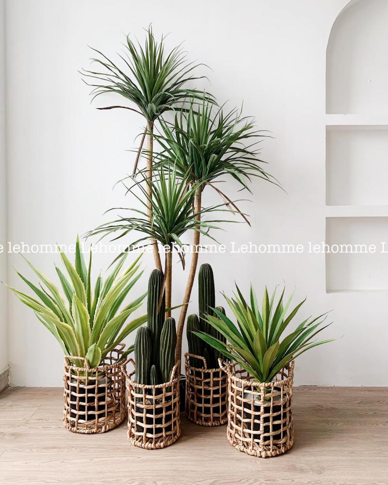 LEHOMME Store