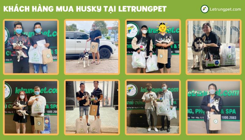 Letrungpet.com