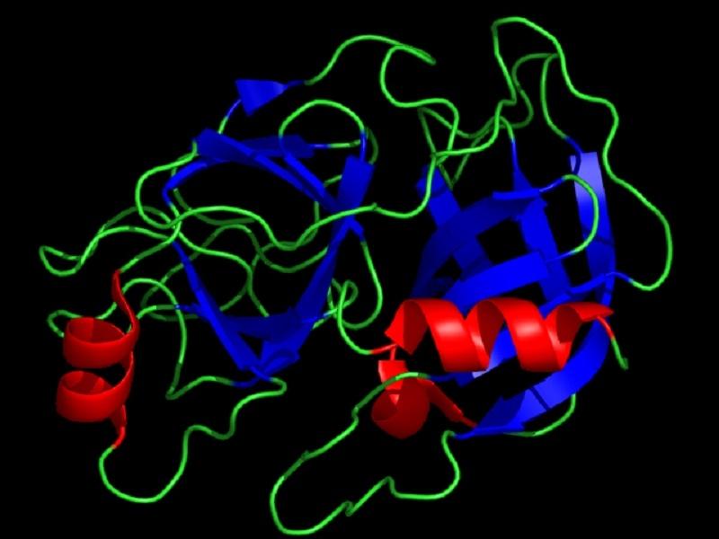 Liệu pháp Enzyme