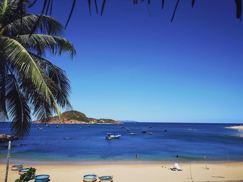 Life's A Beach Quy Nhơn