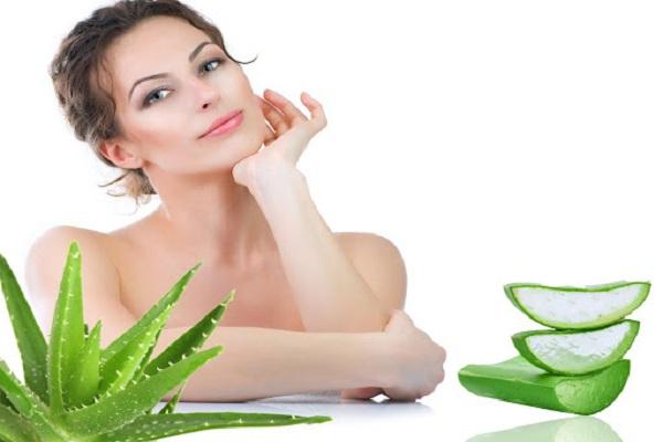 Bạn cũng có thể dùng lô hội để đắp lên những nốt mụn