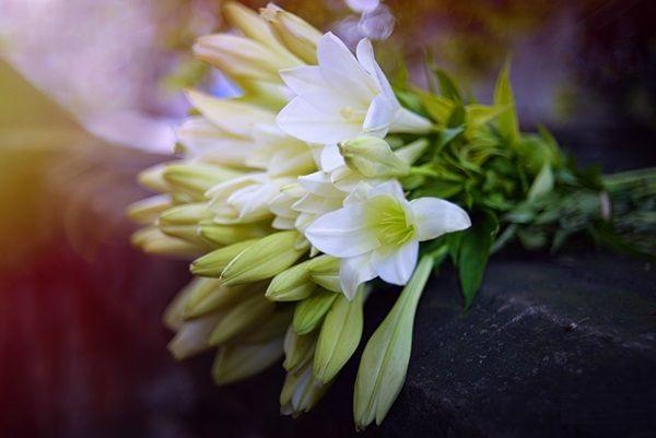 Tình khúc… giao mùa