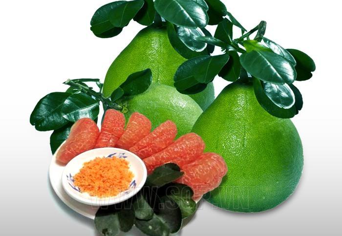 Bưởi có tác dụng tốt trong chữa trị bệnh viêm khớp thường gặp ở người cao tuổi
