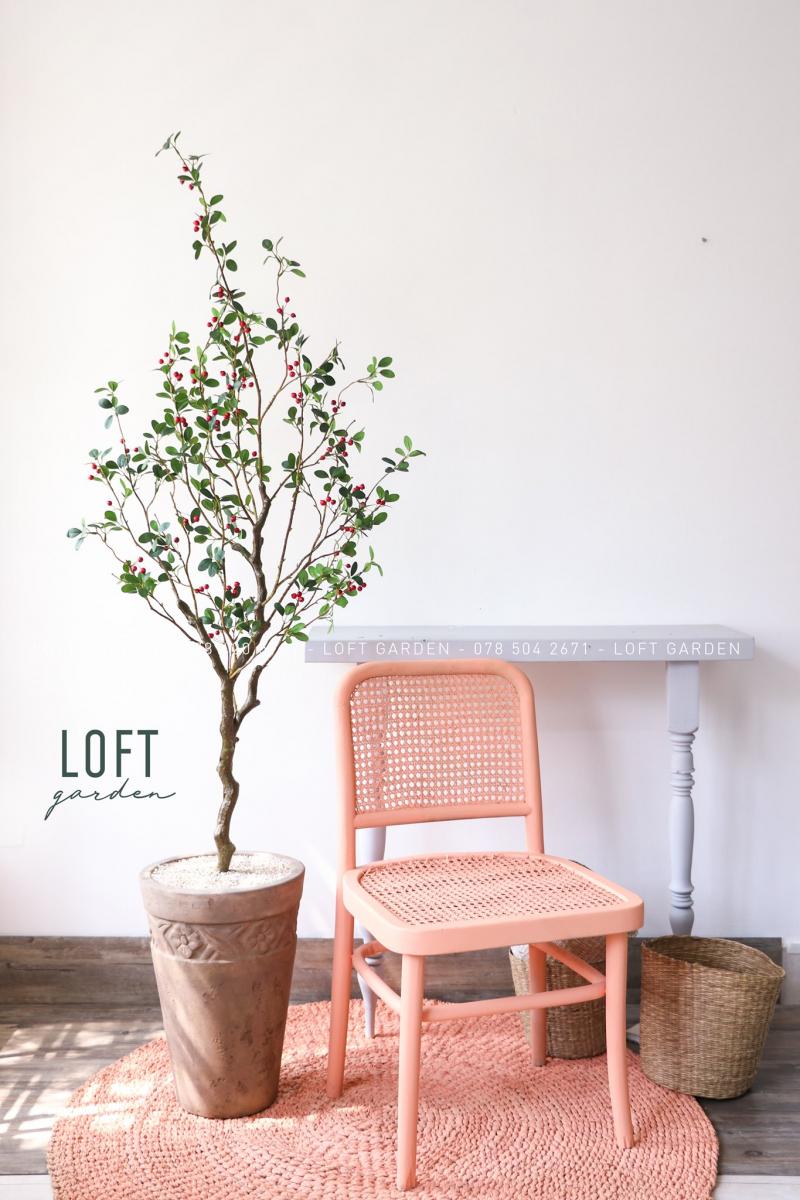 Cây đào tại Loft Garden