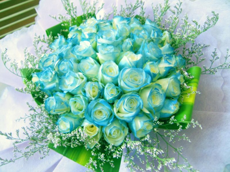 Lời chúc 8/3 tặng vợ