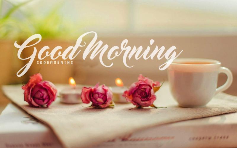 Lời chúc buổi sáng lãng mạn nhất gửi đến người yêu