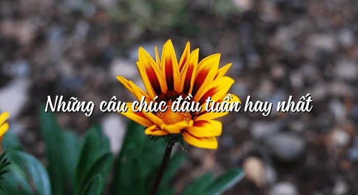 Lời chúc số 2