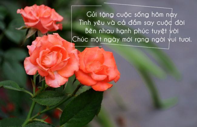 Lời chúc buổi sáng lãng mạn nhất gửi đến người yêu