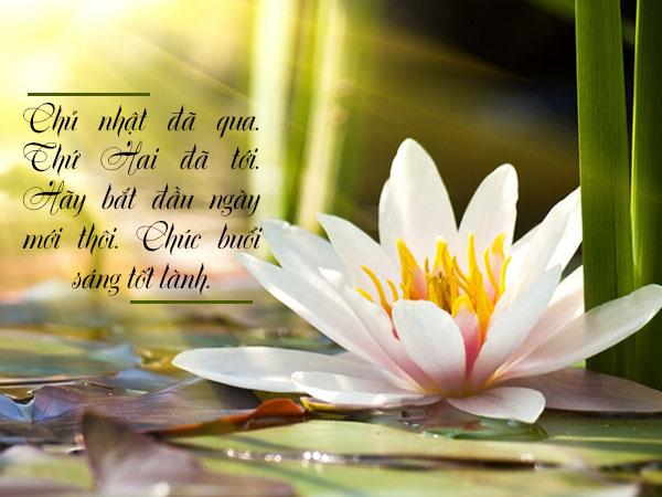 Lời chúc số 3