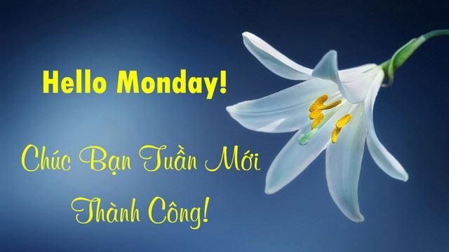 Lời chúc số 5
