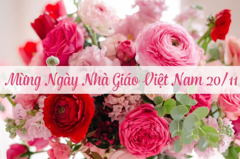 Mừng ngày 20/11