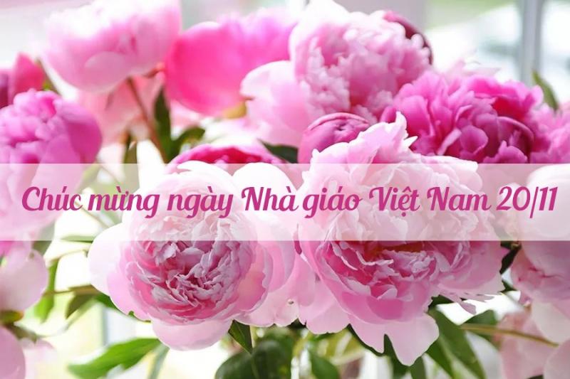 Chúc mừng 20/11