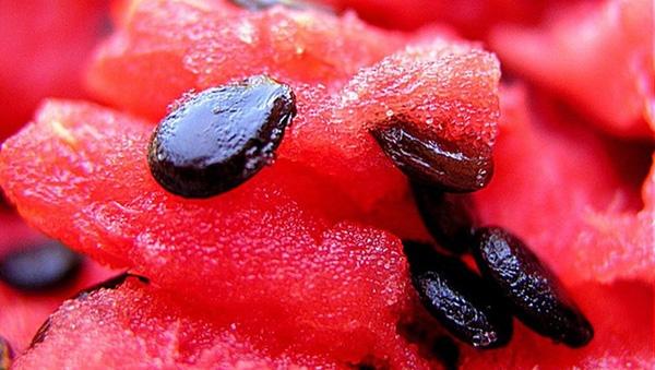 Hạt dưa hấu cung cấp chất xơ