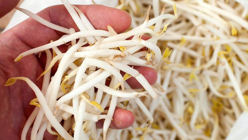 Cải thiện hệ tiêu hóa