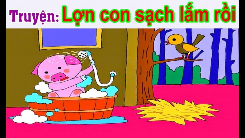 Lợn con sạch lắm rồi