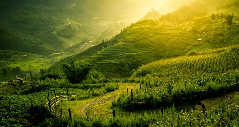 Lớn lên cùng tuổi thơ