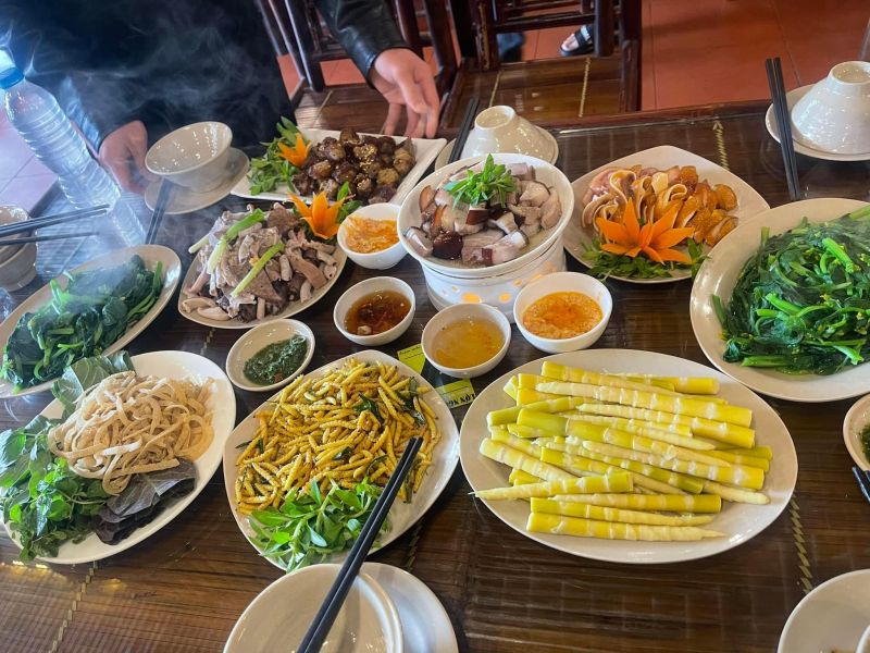 Lợn Ngòi Đum II