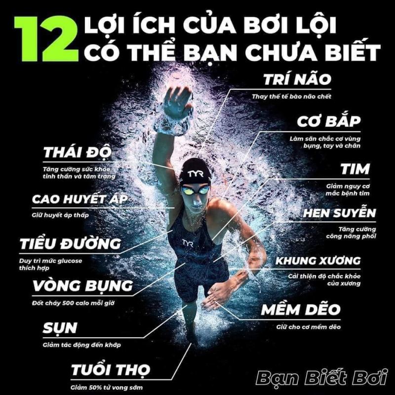 Lớp Học Bơi Thầy Hiệu