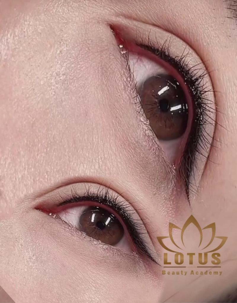 Lotus Beauty and Spa