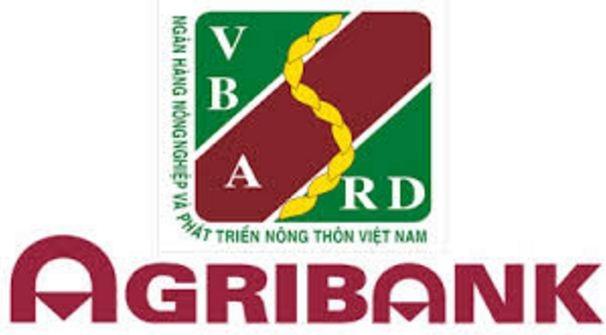Chọn lựa hình thức phù hợp