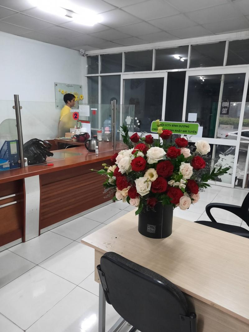 Luật Wilki Law