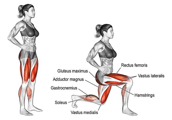 Lunges