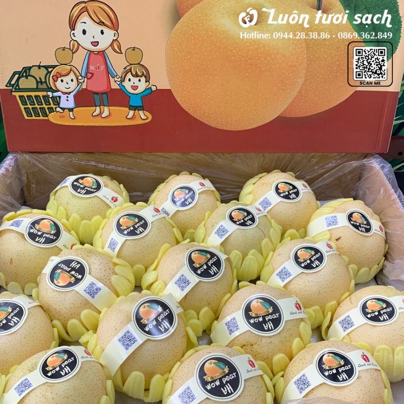 Luôn Tươi Sạch