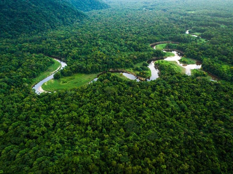 Sông Amazon