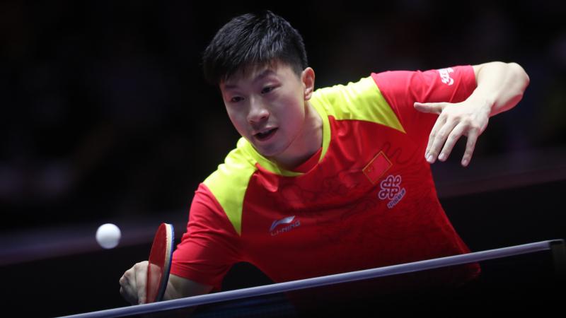 Tay vợt Ma Long