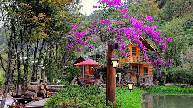Ma Rừng Lữ Quán