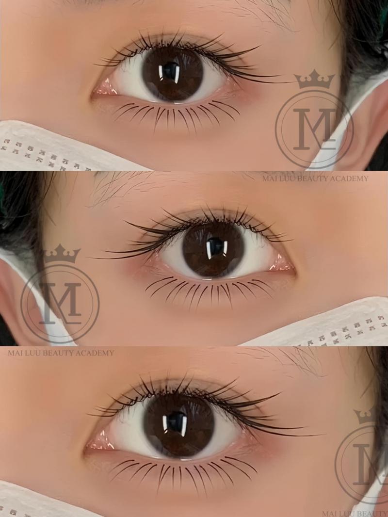 Mai Lưu Beauty Lash