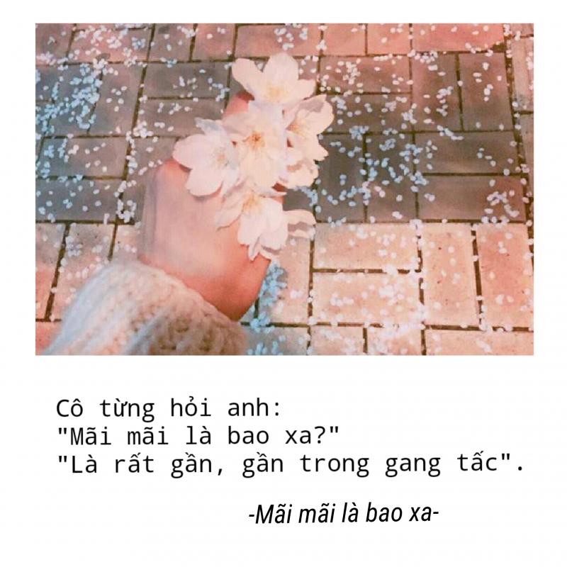 Mãi mãi là bao xa - Diệp Lạc Vô Tâm