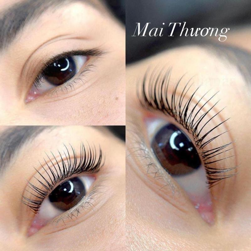 Mai Thương Nối Mi