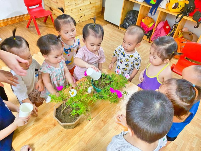 Mầm non Mont School