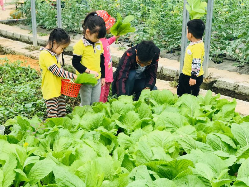 Mầm non song ngữ thực hành Talent Kids