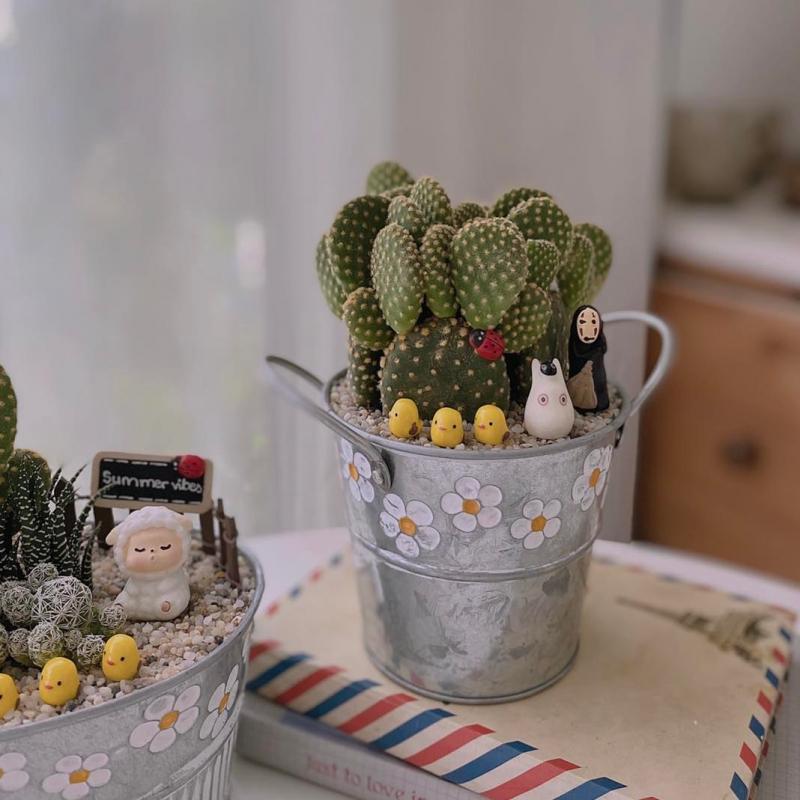 Mầm - Plants & More