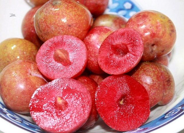 Tháng 5 hàng năm chính là lúc mận ở Mộc Châu bước vào vụ thu hoạch